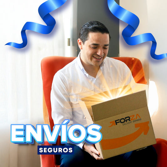 Seguro de envio